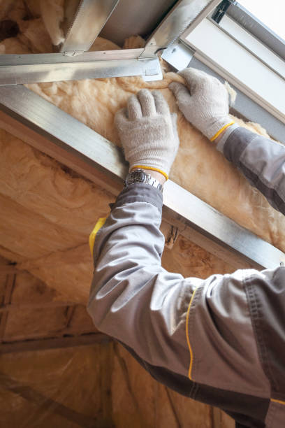 Best Wall Insulation Installation  in Newton, KS